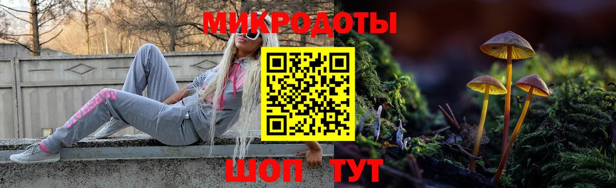 Псилоцибиновые грибы Psilocybe  Псилоцибиновые грибы Psilocybe  Вход с VPN  Луга 